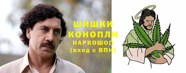 дмт Касимов