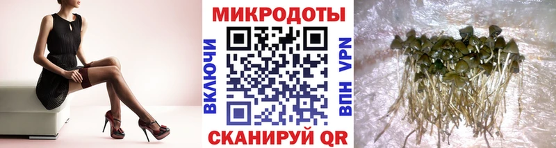 Галлюциногенные грибы прущие грибы  купить   blacksprut вход  Малоярославец 